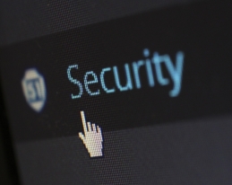 SEGURIDAD PERIMETRAL